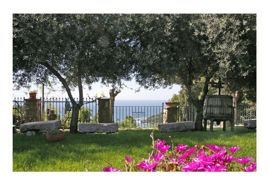 Villa Michela Tra Cielo E Mare Gaeta Ruang foto